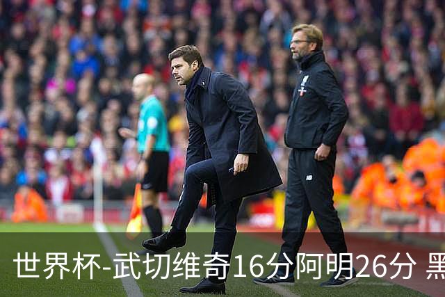 世界杯-武切维奇16分阿明26分 黑山大胜埃及