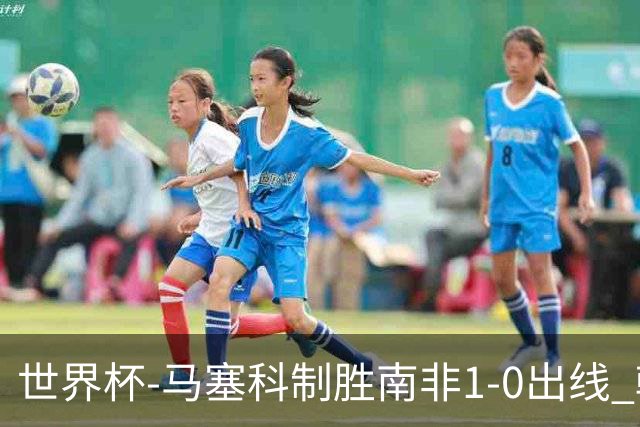 世界杯-马塞科制胜南非1-0出线 韩国积3分获小组第三待定