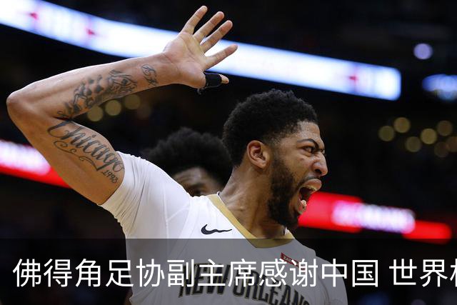 佛得角足协副主席感谢中国 世界杯后将安排与国足友谊赛