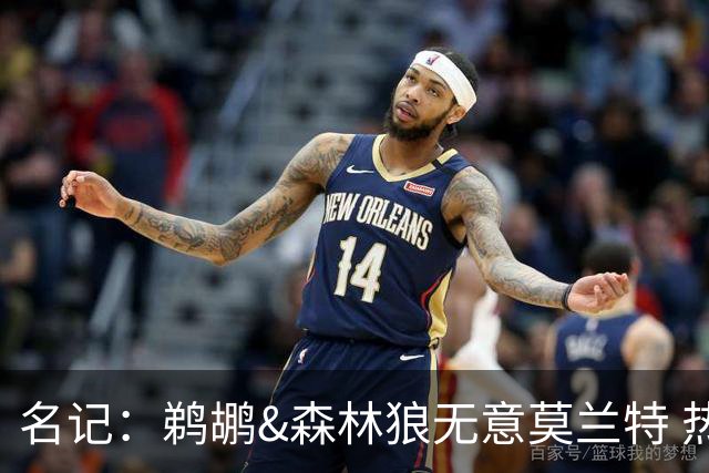 名记：鹈鹕&森林狼无意莫兰特 热火也不急于尝试其与字母哥的搭档
